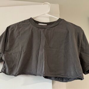 Gray Elwood Women's Crop Tee Top